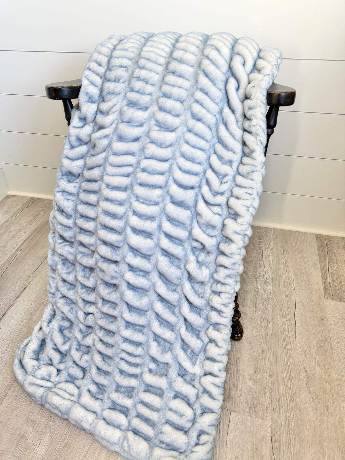 Powder Blue Sharpei