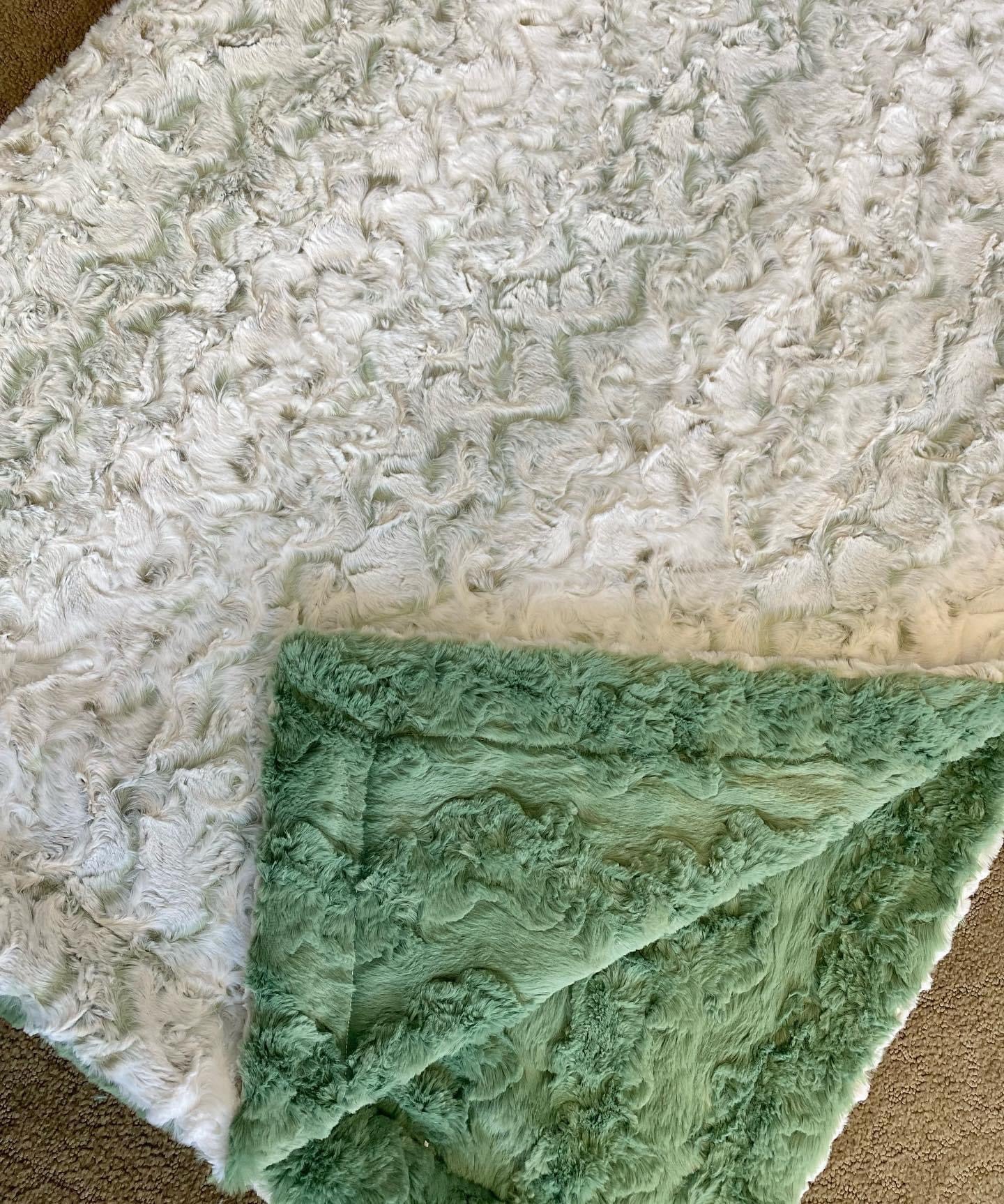 Snowy Owl Basil / Basil glaciar