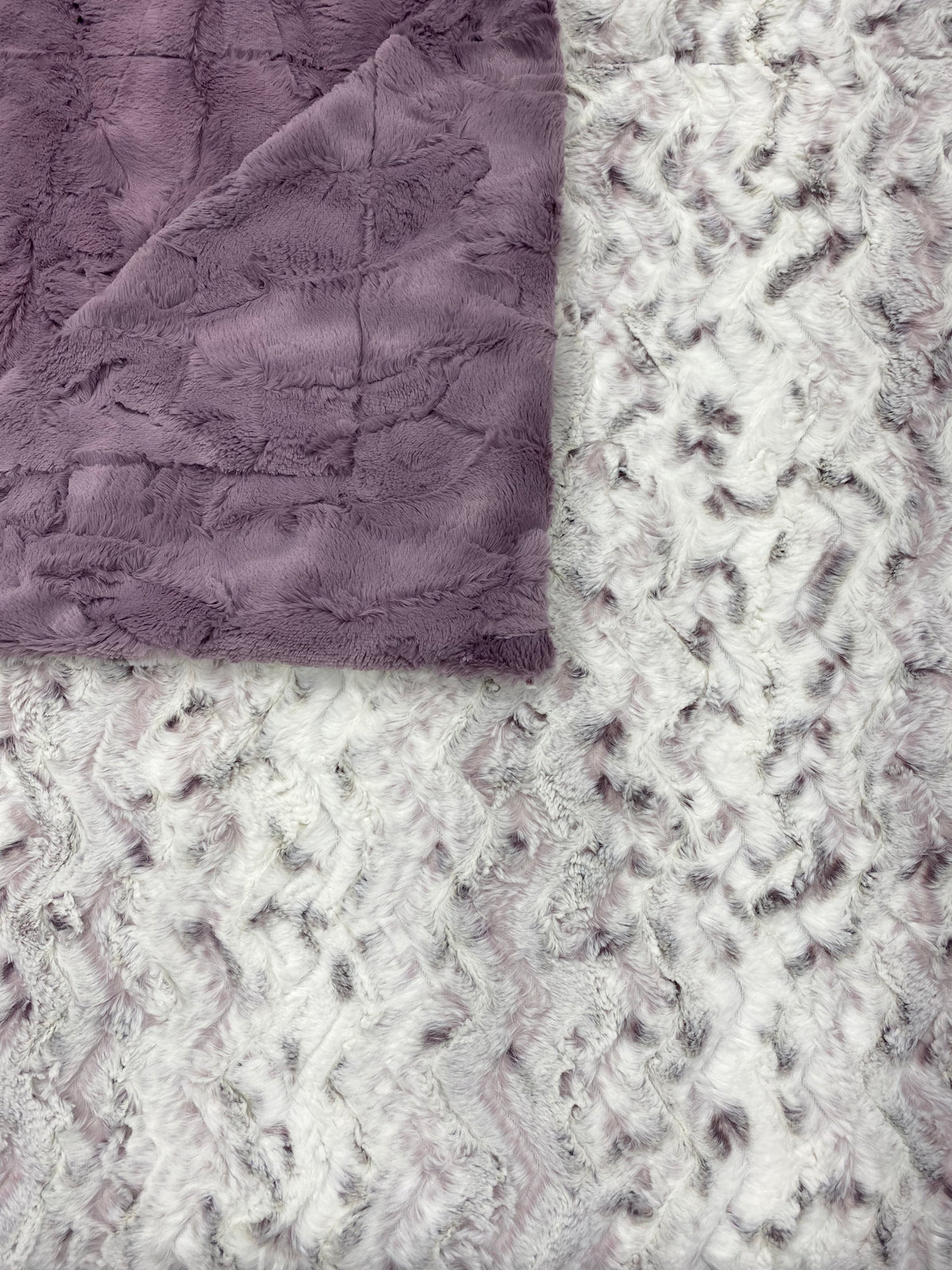 Snowy Owl Elderberry